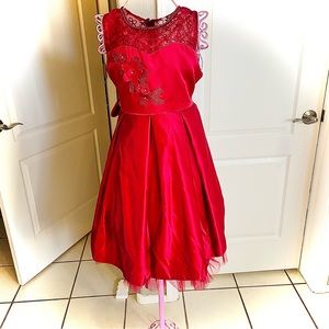 CINDERELLA COUTURE holiday dress Sz 12!